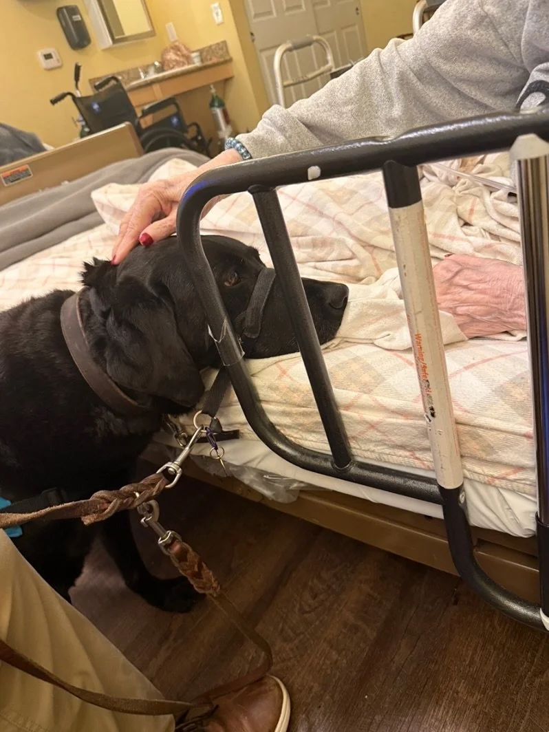 You know, Amari now has a therapy dog, right?

Our certified therapy dog, Renny, brings comfort, companionship, and moments of joy to the patients and families we serve. From reducing stress and anxiety, to offering emotional support and connection, 