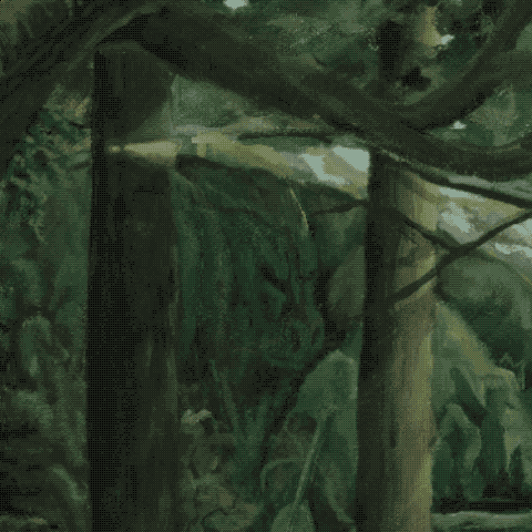 IMG_1056.GIF