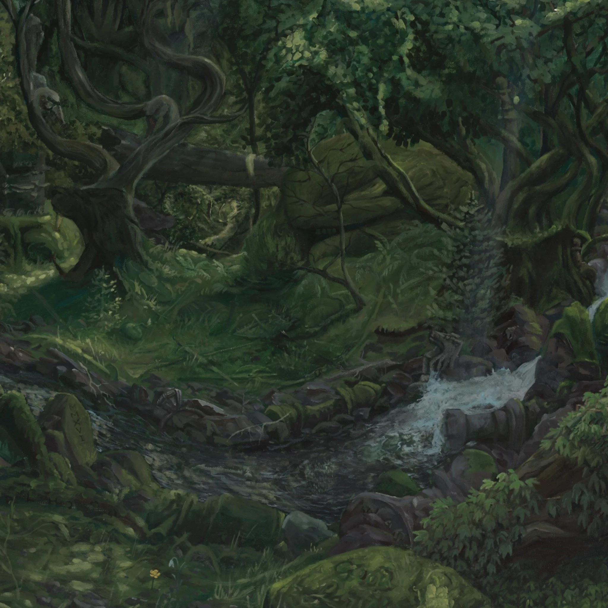 Dense forest with twisted tree branches and lush green foliage.