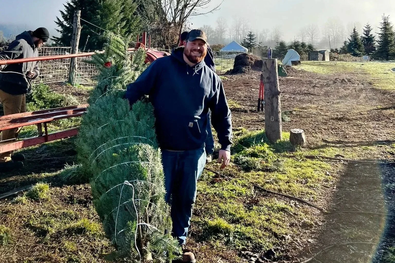 A man with a beard wearing a navy hoodie and jeans standing outdoors on a sunny day, holding a large Christmas tree. In the background, there are other people and trees, with a partly cloudy sky.