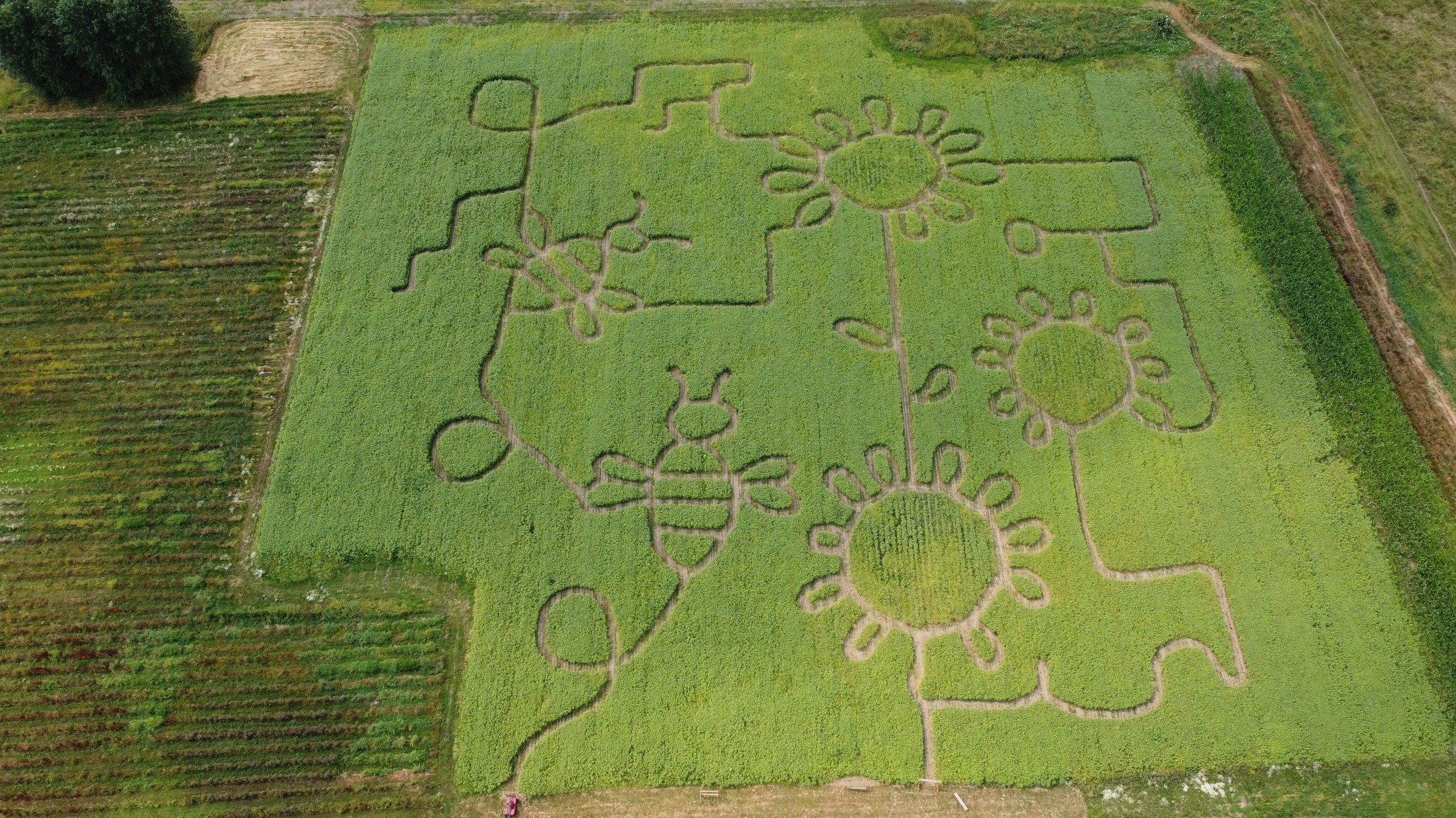 DJI_0125.JPG