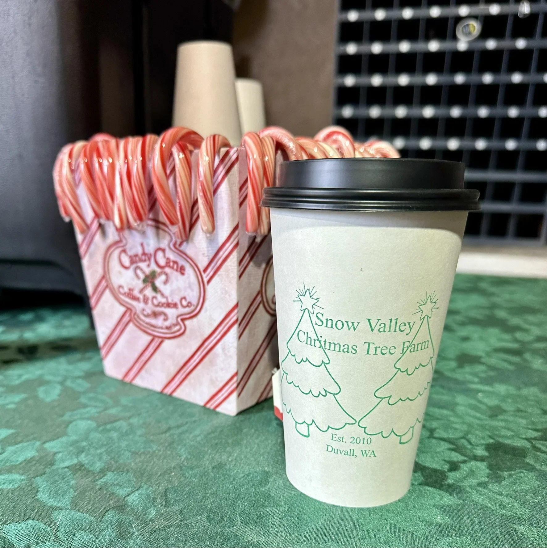 A to-go coffee cup with a black lid from Snow Valley Christmas Tree Farm in Duvall, Washington, placed on a green tablecloth with a bag of candy canes in the background.