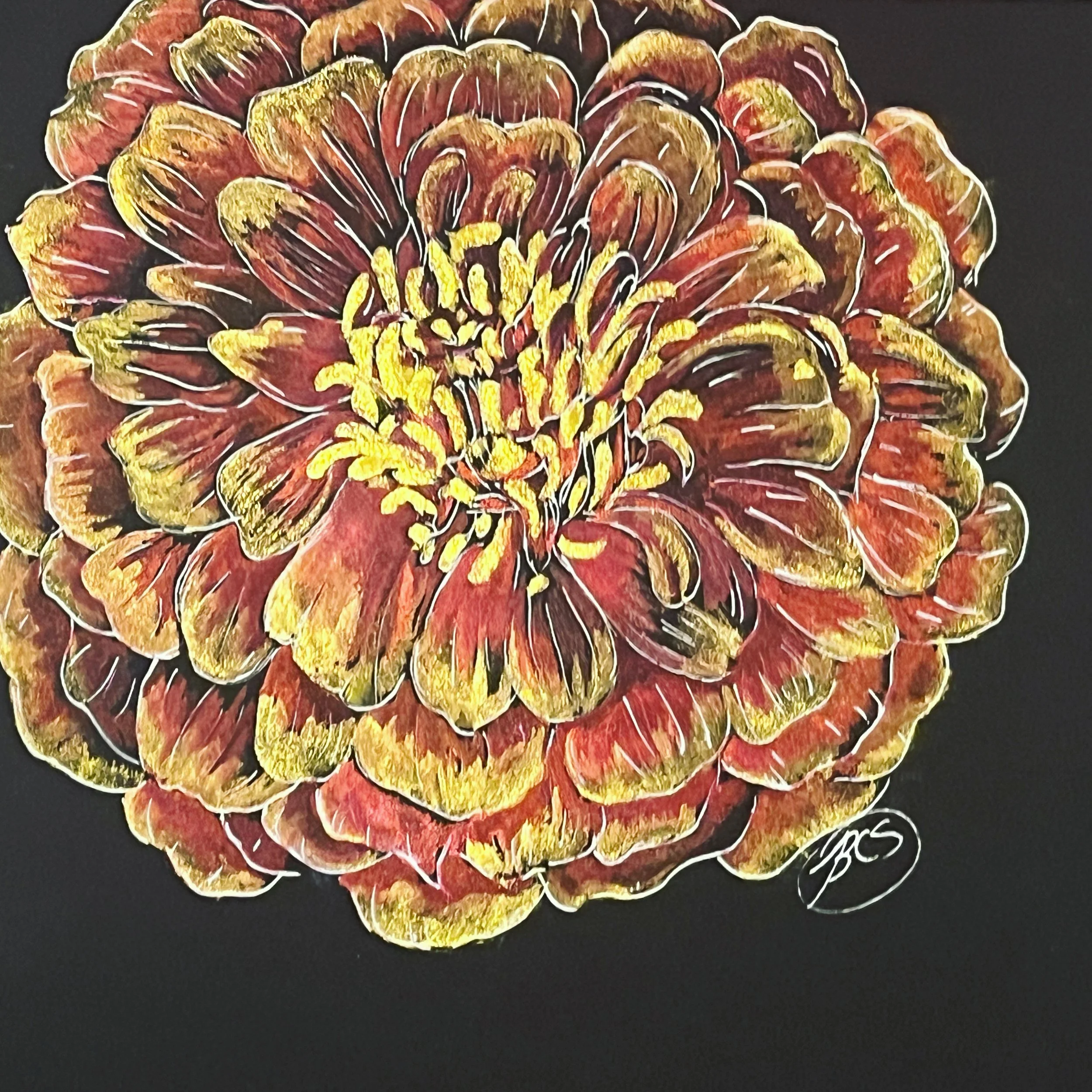 Zinnia