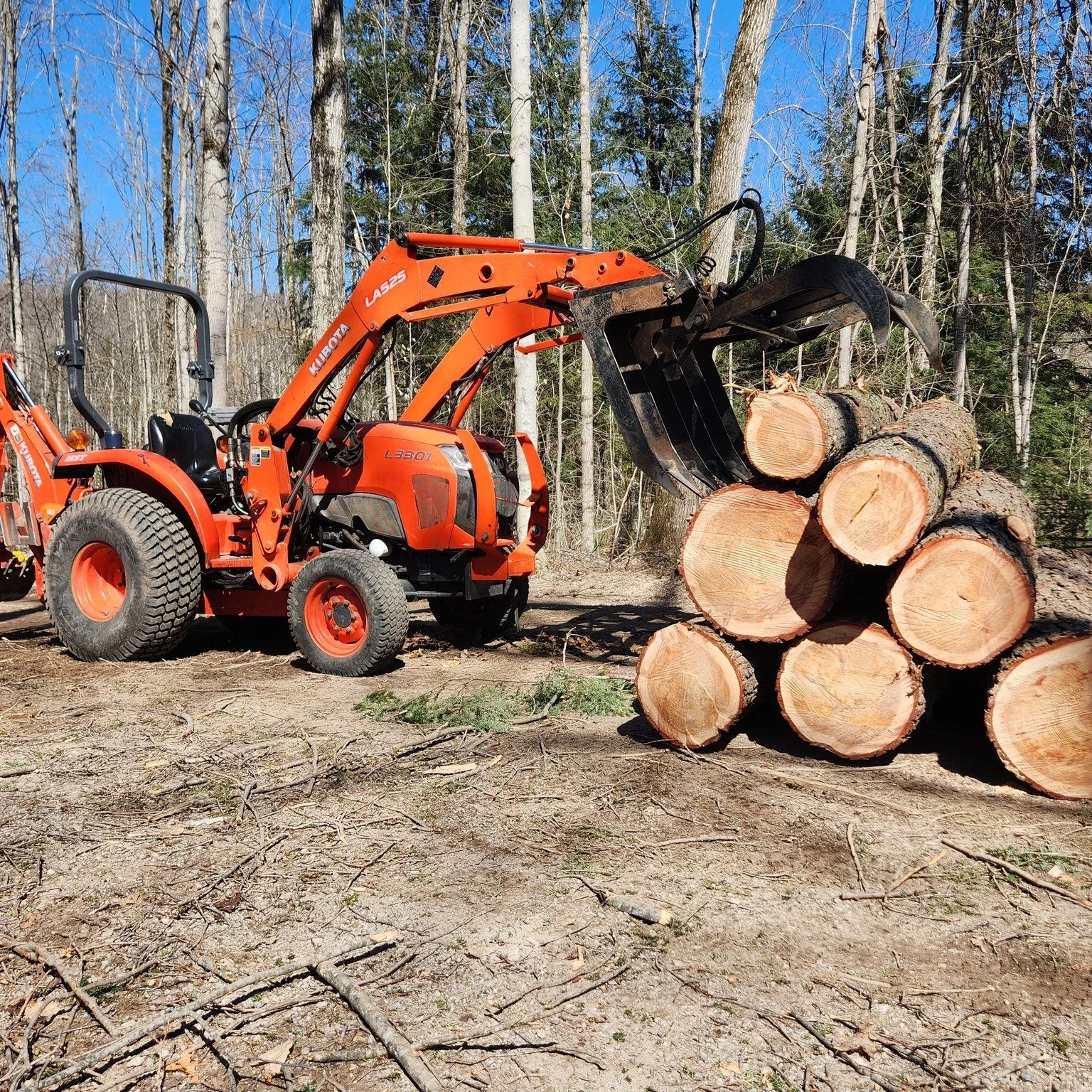 As part of the recent road widening and improvement project, 55 mature trees were carefully removed from Camp Daggett. While change can be bittersweet, Walloon Woodsman was able to salvage the saw logs, giving new life to these beloved trees.

Now, y