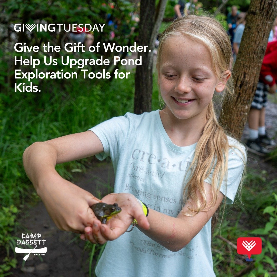 Today is Giving Tuesday! Join us in supporting Camp Daggett&rsquo;s pond exploration program, where campers, rental groups, and visitors of all ages can discover the wonders of nature up close.

Your gift today will help us upgrade tools like macrosc