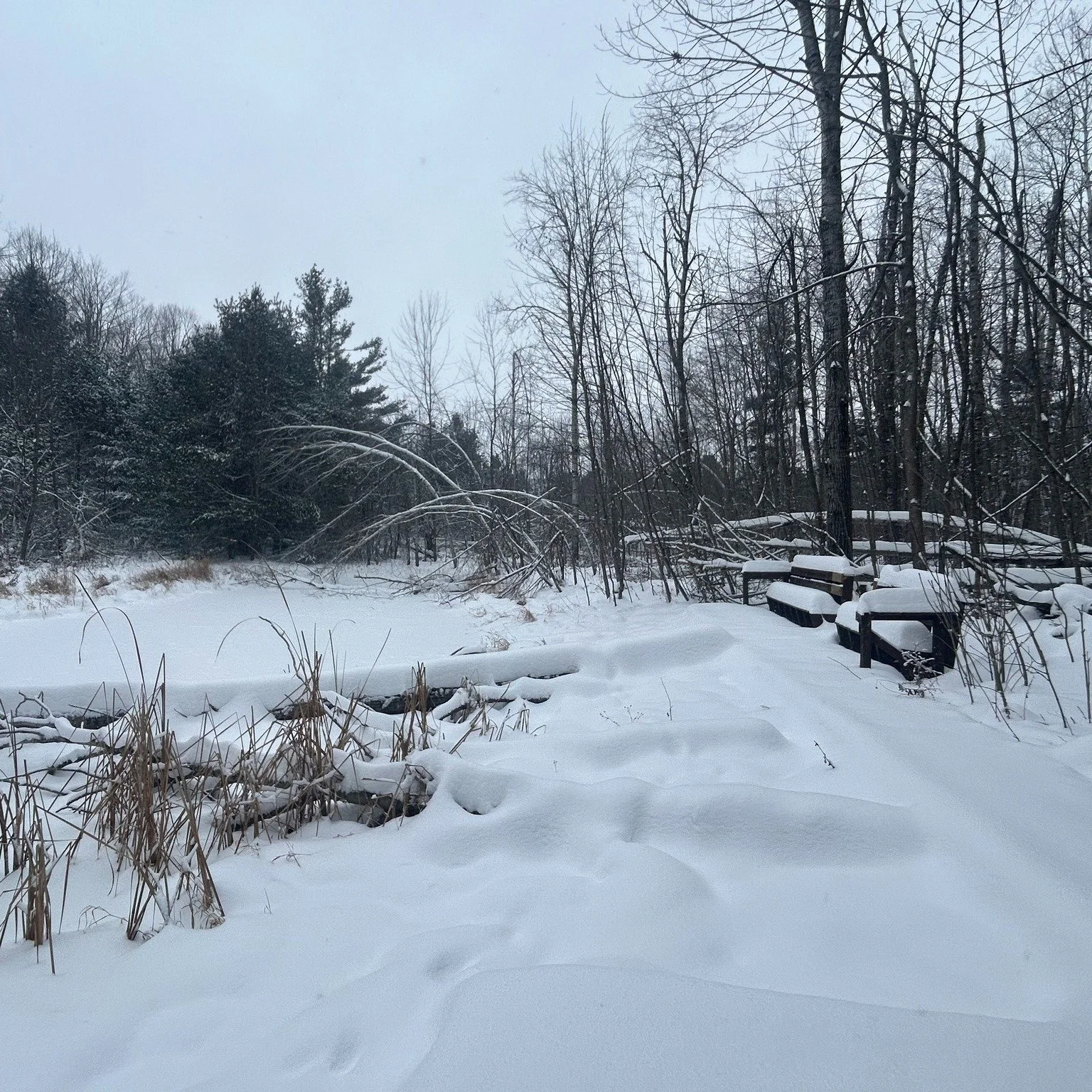 We&rsquo;re incredibly grateful to share that Camp Daggett has been awarded a $10,000 grant from the @phsacf  Emergency Response Fund to support critical recovery efforts following last year&rsquo;s ice storm.

The storm caused significant damage acr