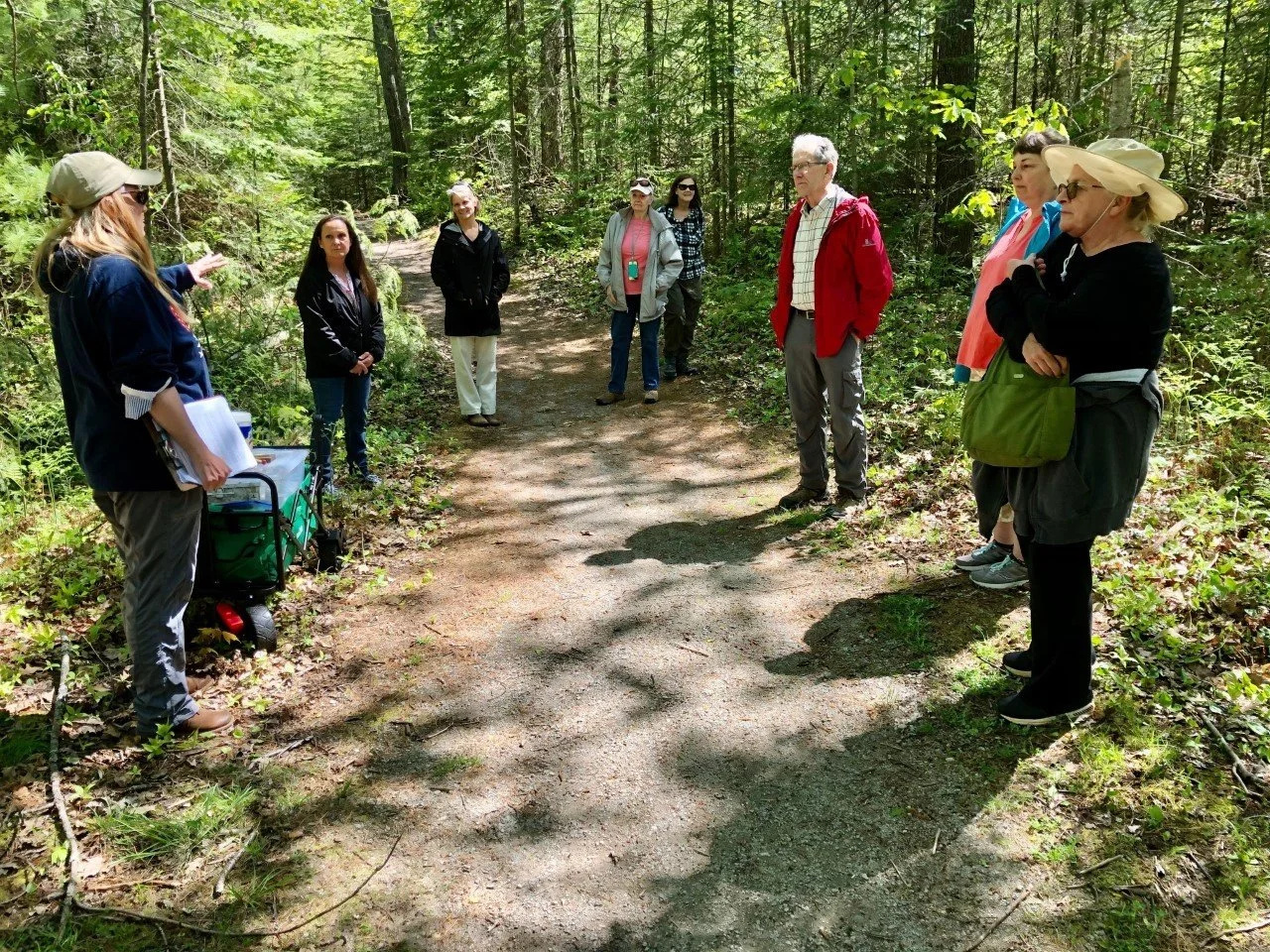 Forest Bathing at Camp Daggett