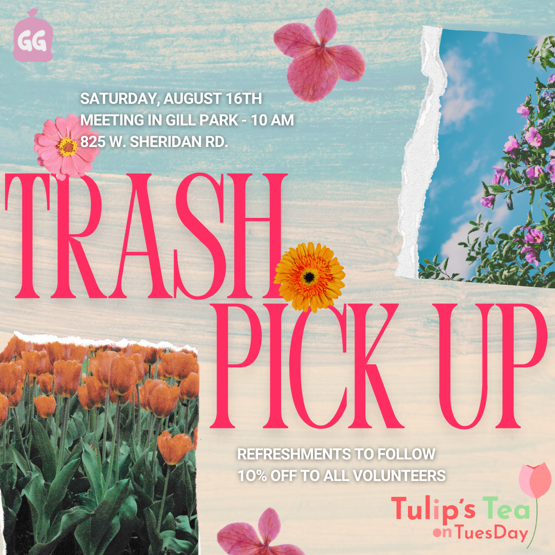 Lakeview Trash Pick Up
