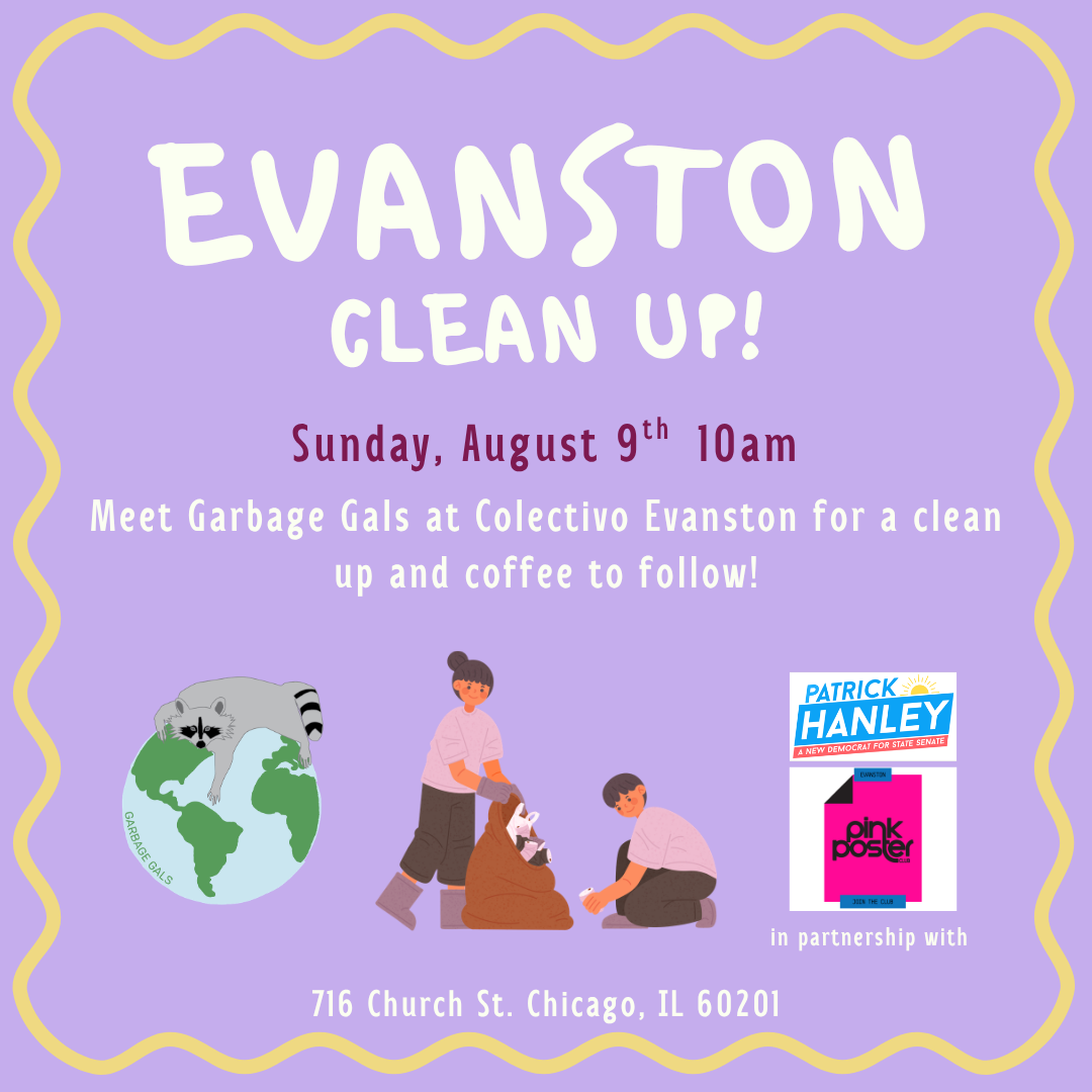 Evanston Clean Up
