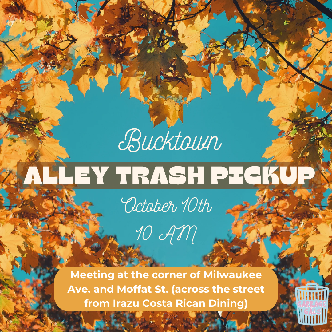 West Bucktown Alley Clean Up