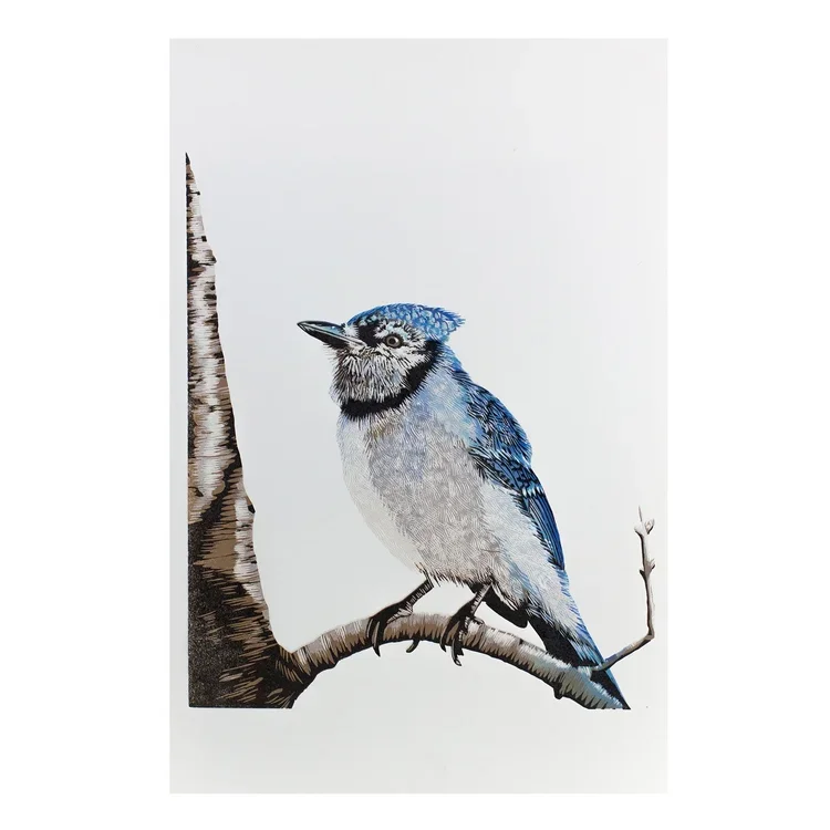 bluejay.webp