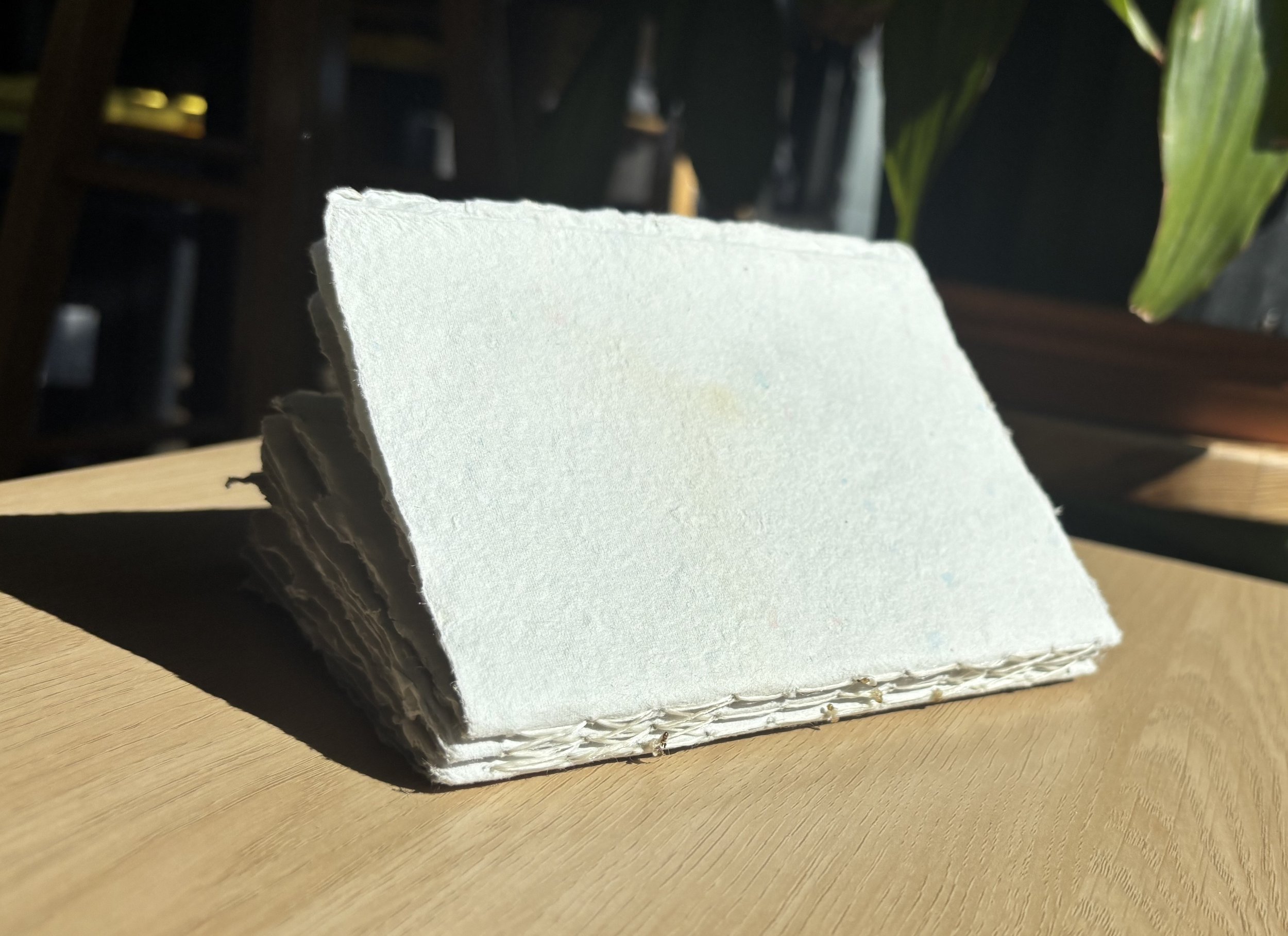 Book Signature Binding Workshop