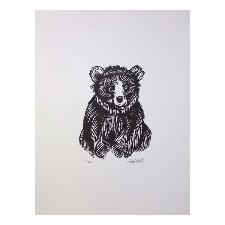 bear.webp