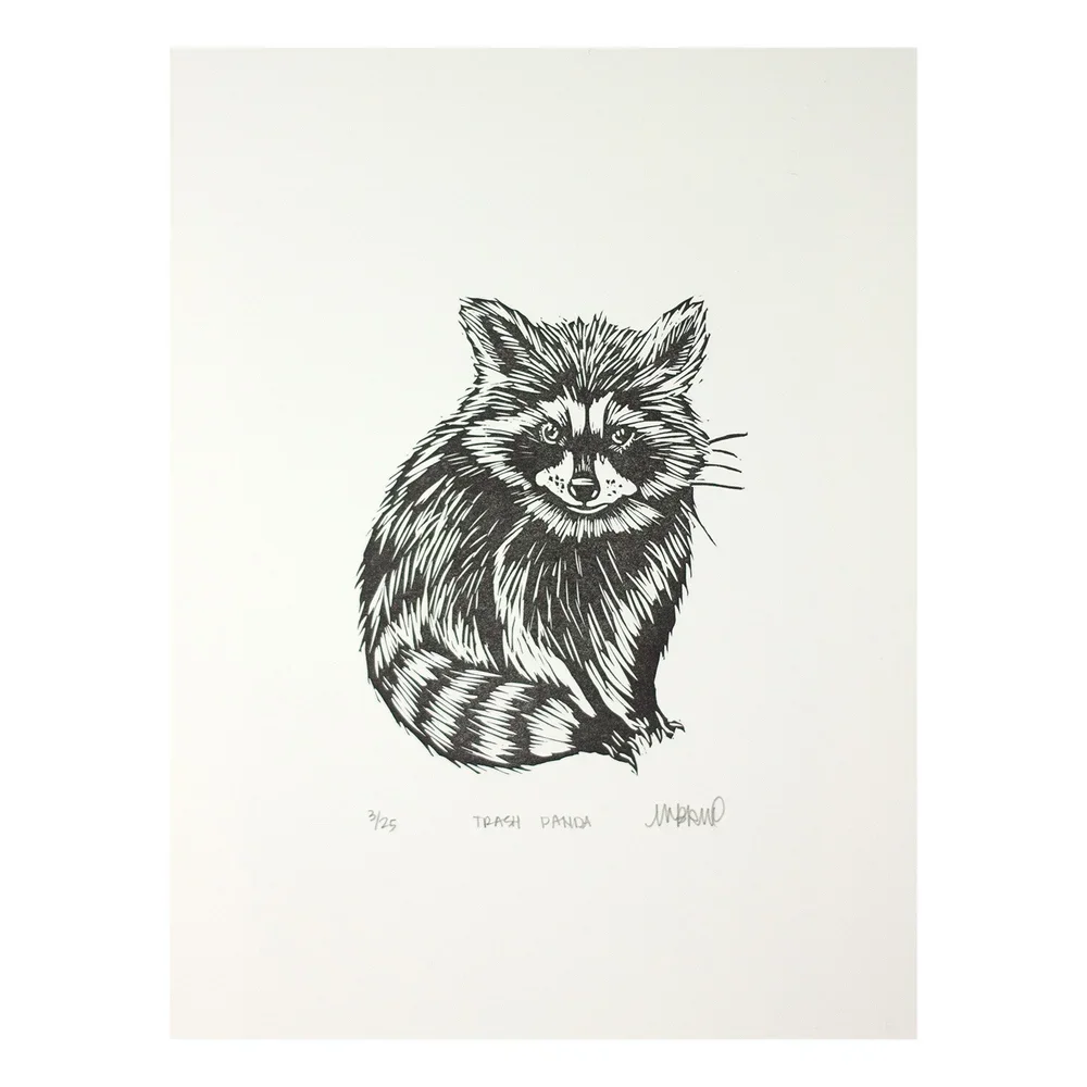 TrashPanda.webp