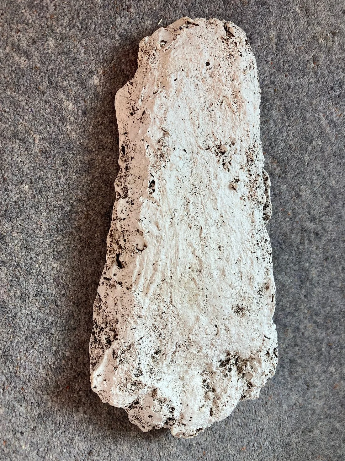 A large, irregularly shaped piece of white coral with holes and textures, lying on a gray, textured surface.
