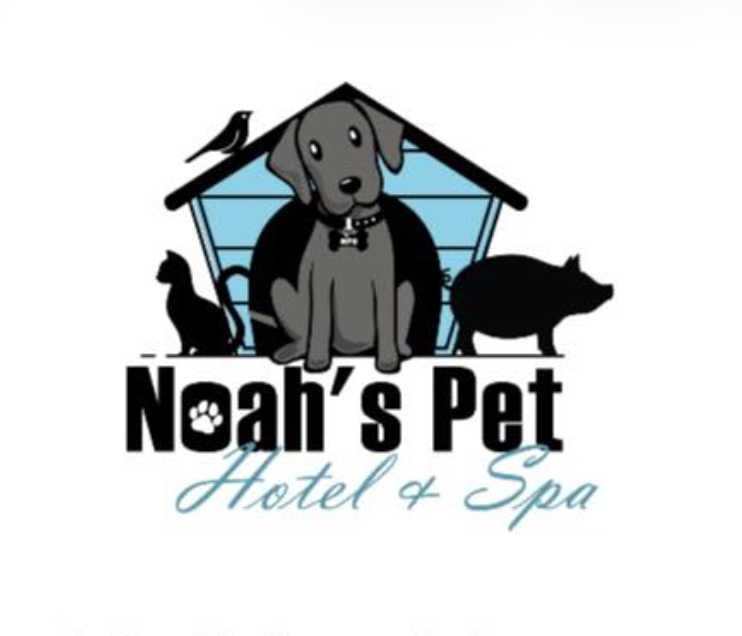 Screenshot 2026-02-11 at 8.35.16 PM.png