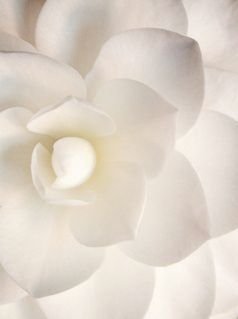 9ec4f6eed671d0f9e625f972edf55f12.jpg