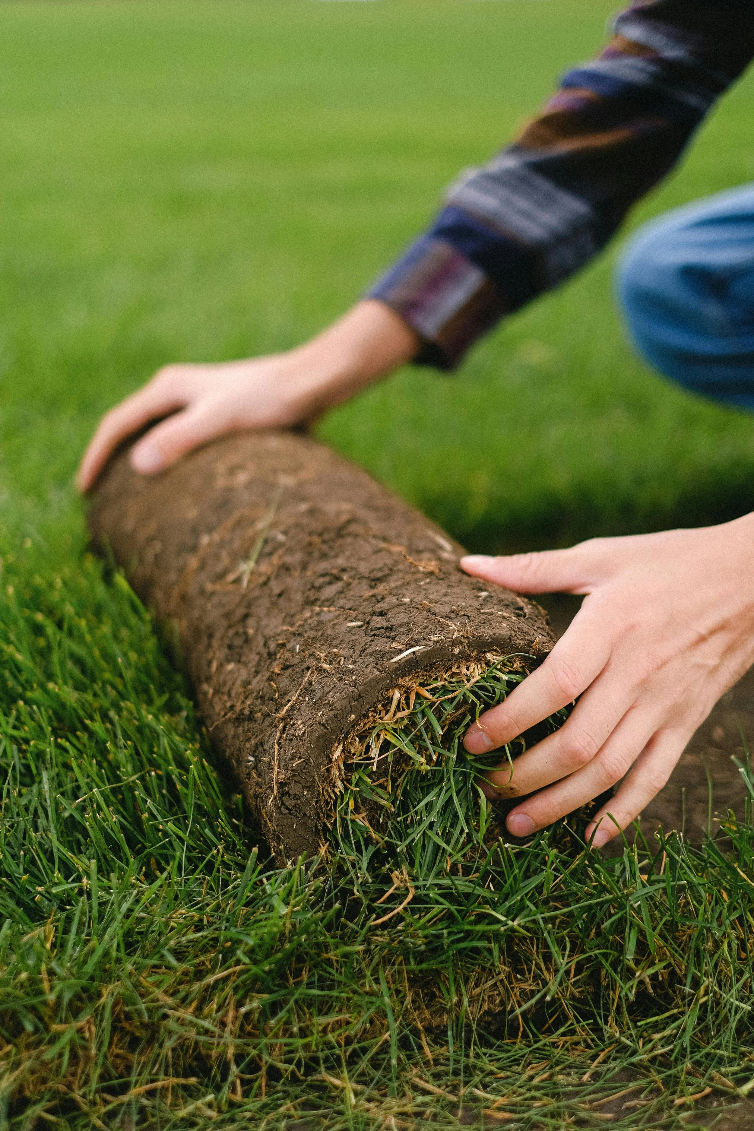 Central Coast Sod Installation