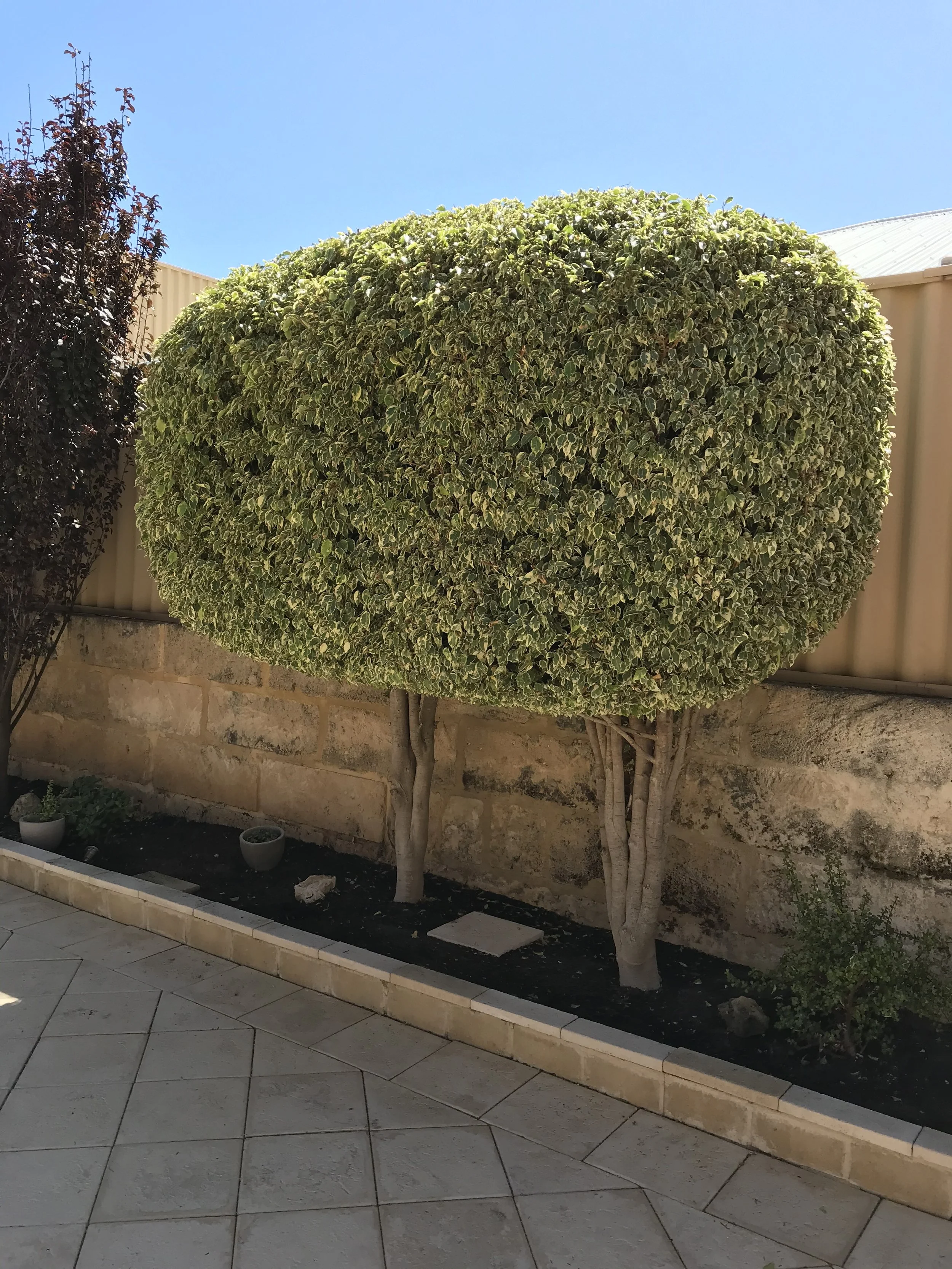 IMG_0056.jpeg
