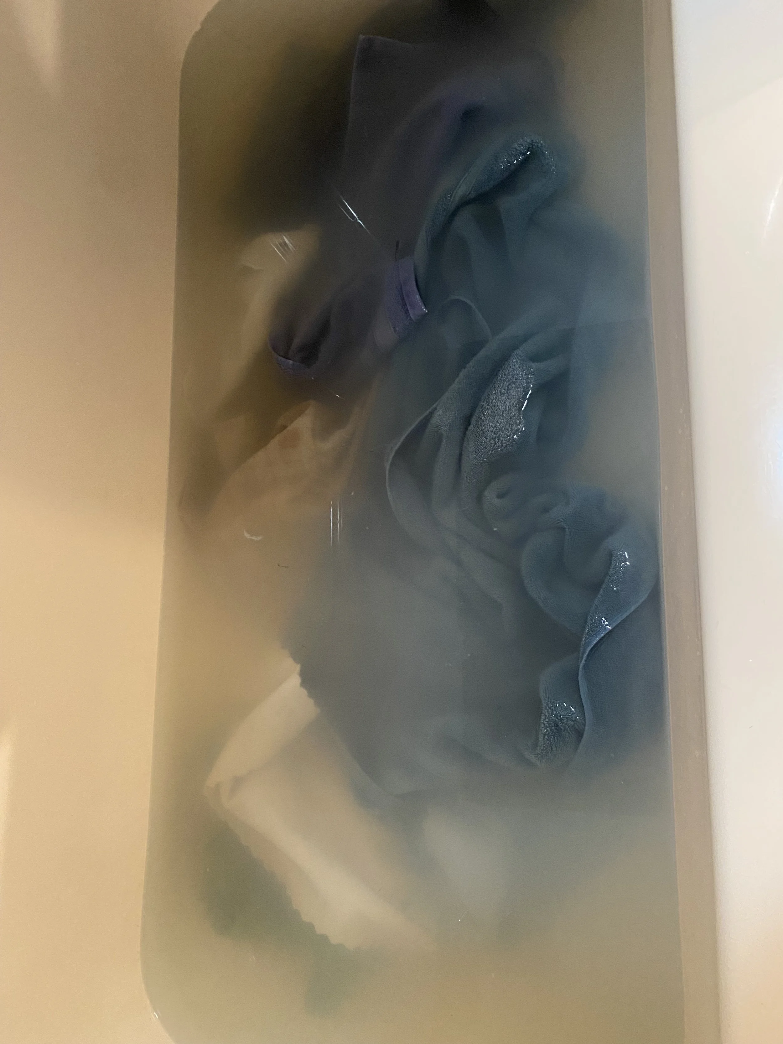 IMG_4910.jpeg