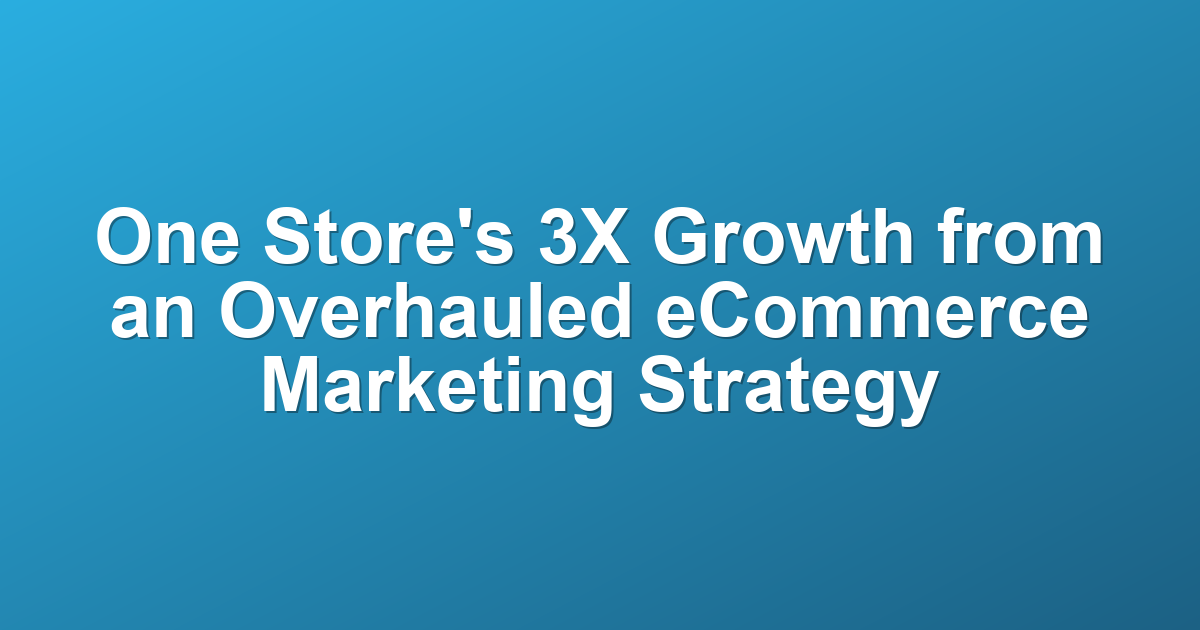 One Store's 3X Growth from an Overhauled eCommerce Marketing Strategy