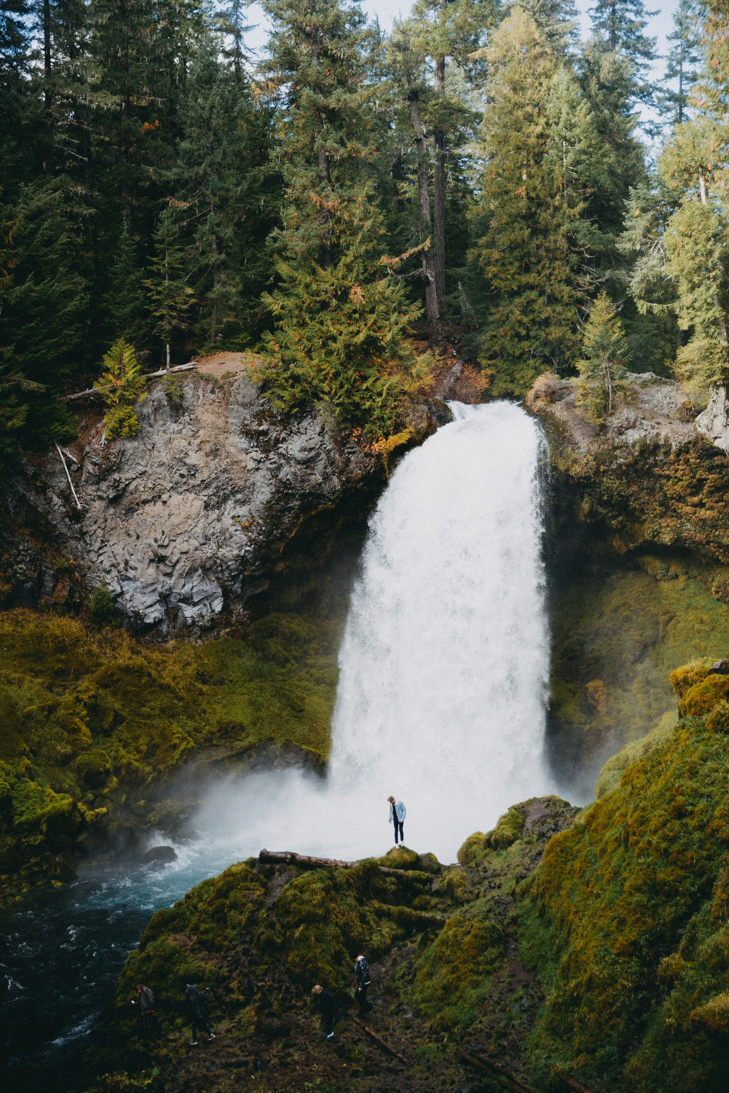 david-kovalenko-S-YgbV2YsjU-unsplash.jpg