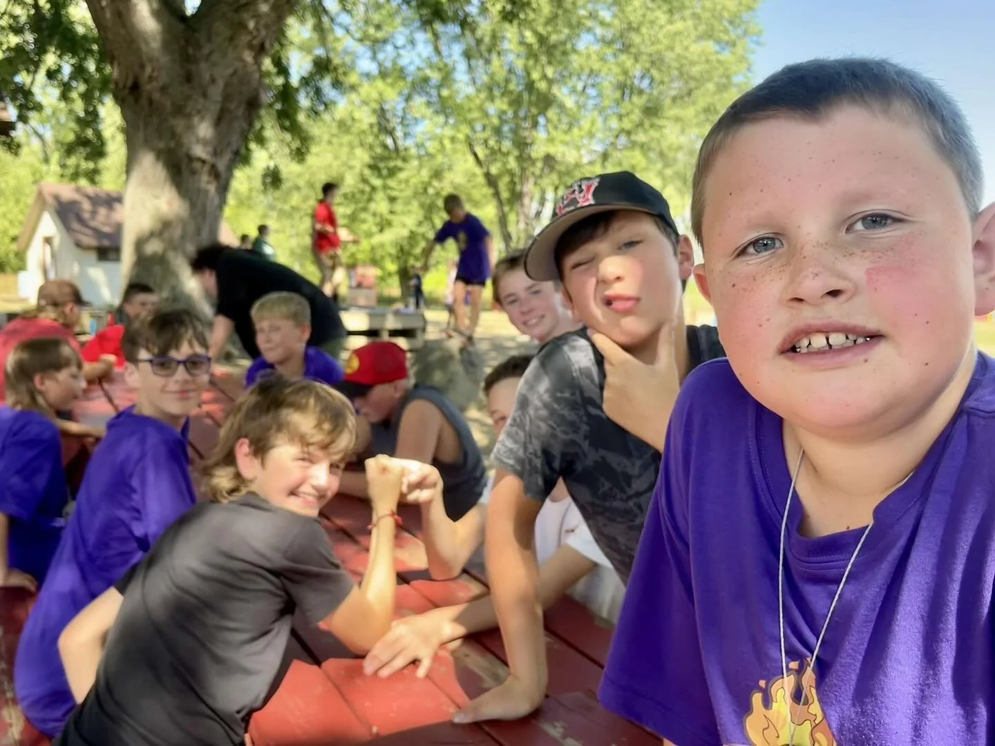 A group of boys at an outdoor gathering, some sitting at a picnic table and others playing on a tree, under green trees on a sunny day.
