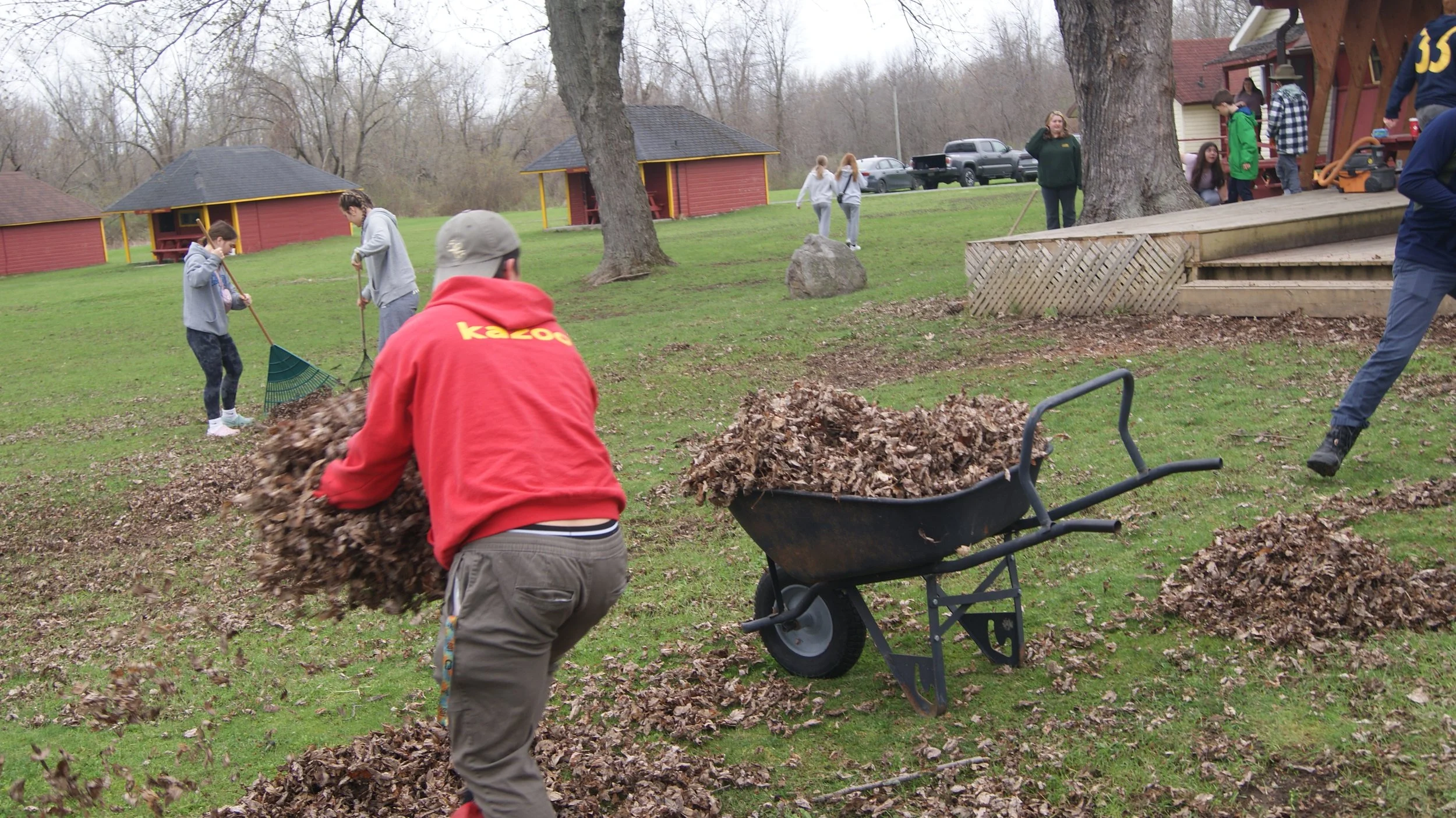 People raking and collecting fallen leaves in a grassy park area with trees, small red buildings, and parked cars in the background.