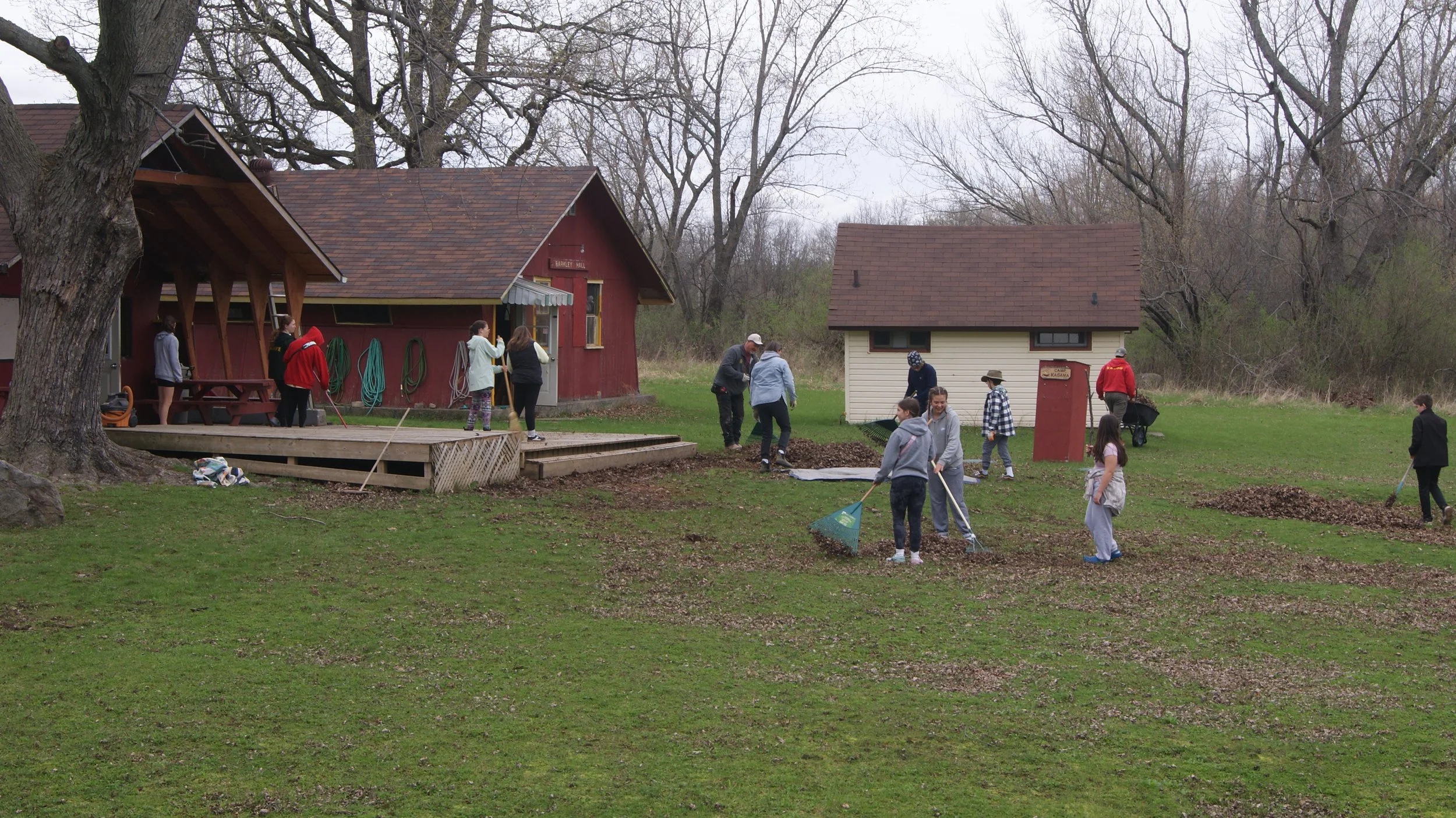 People raking leaves in a grassy yard with two small buildings and leafless trees in the background.