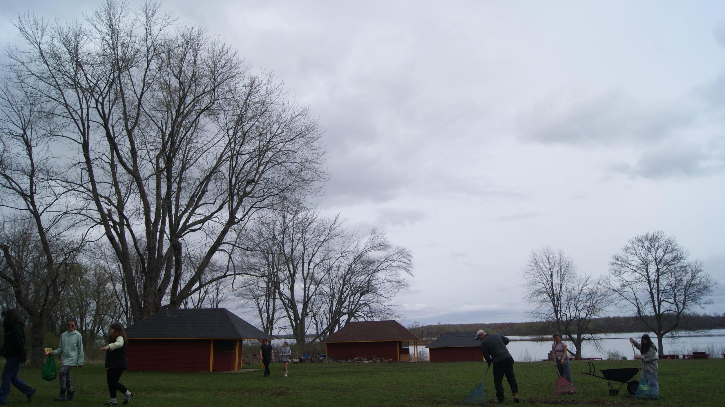 People planting trees by a lake on a cloudy day with leafless trees and small red and black buildings in the background.