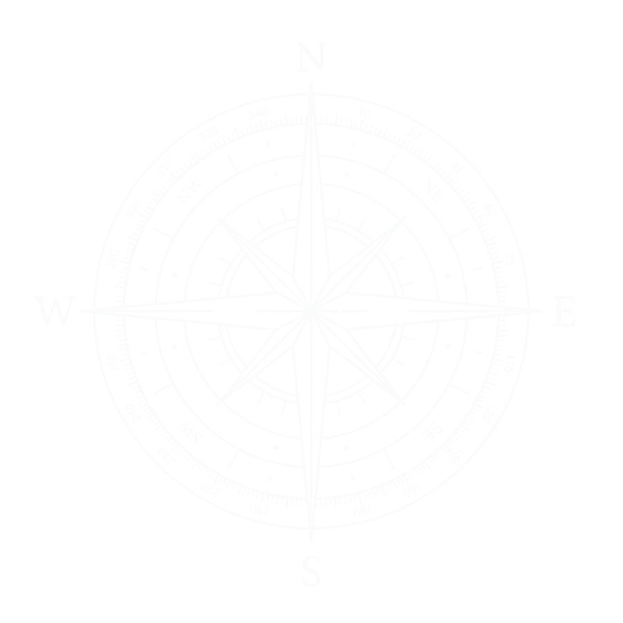 A digital compass rose with north, east, south, and west directions on a black background.