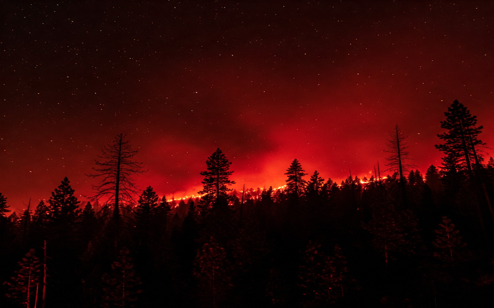 Dousing Wildfires in our Hearts