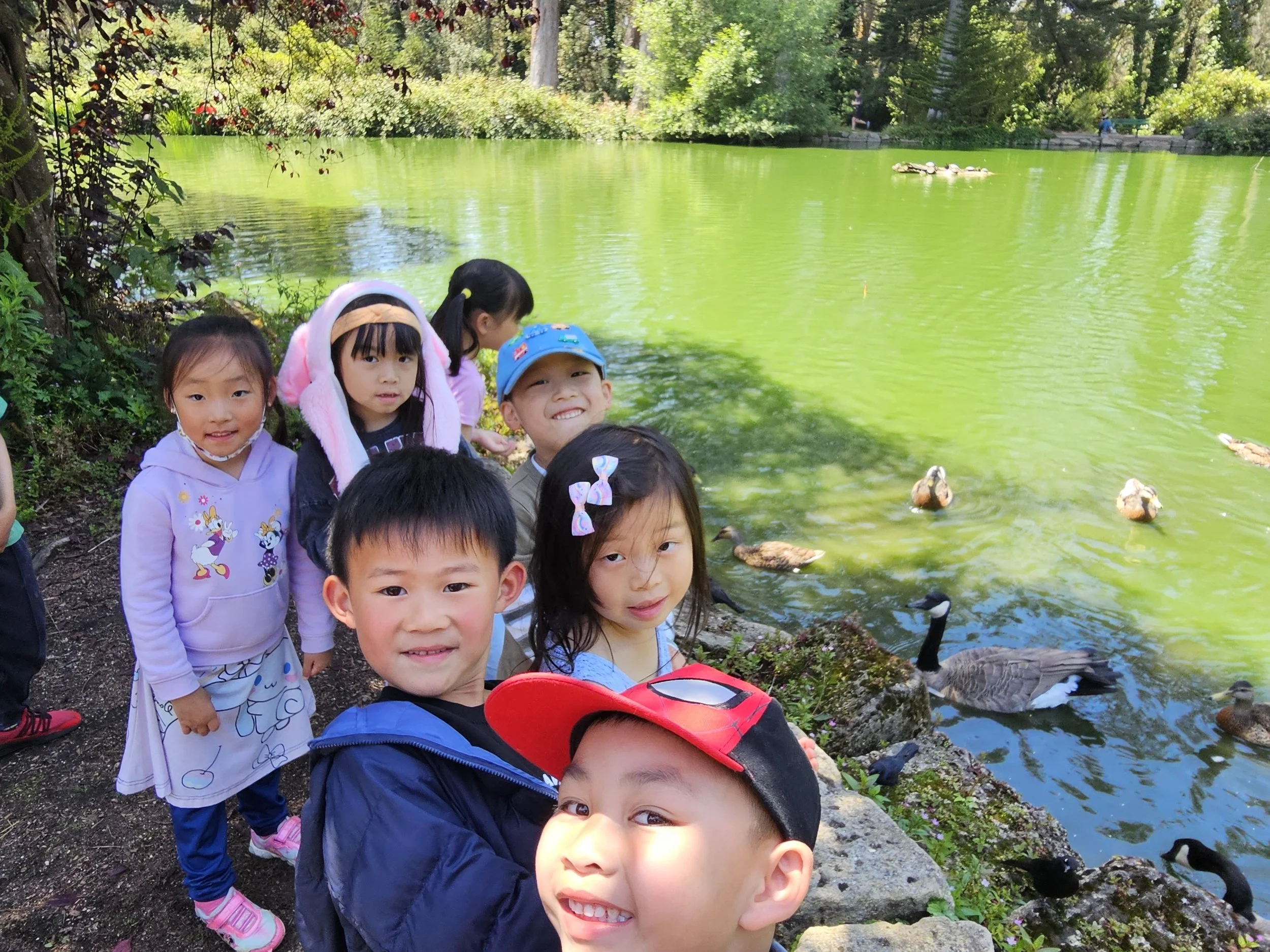 Copy of 20240724_134434.jpeg