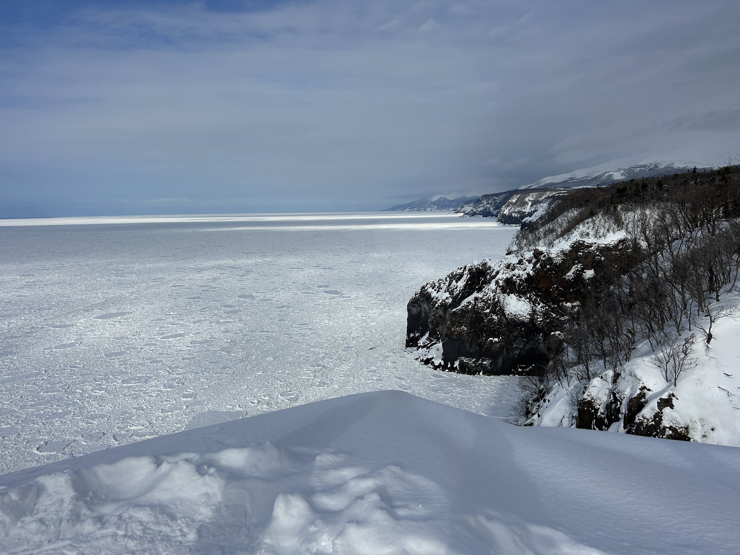 Primeval forest walk (3hour) _Winter