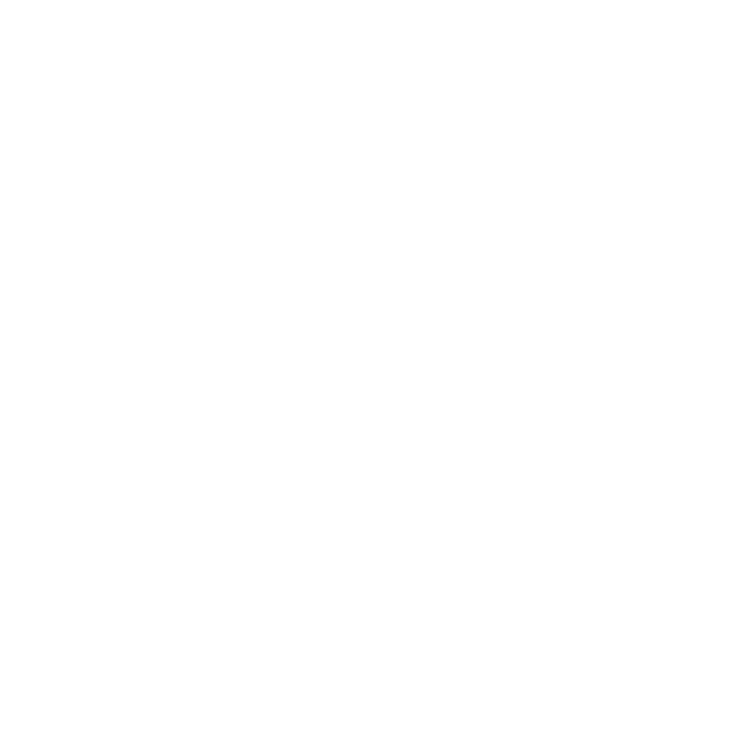 Leslieville Massage Therapy 