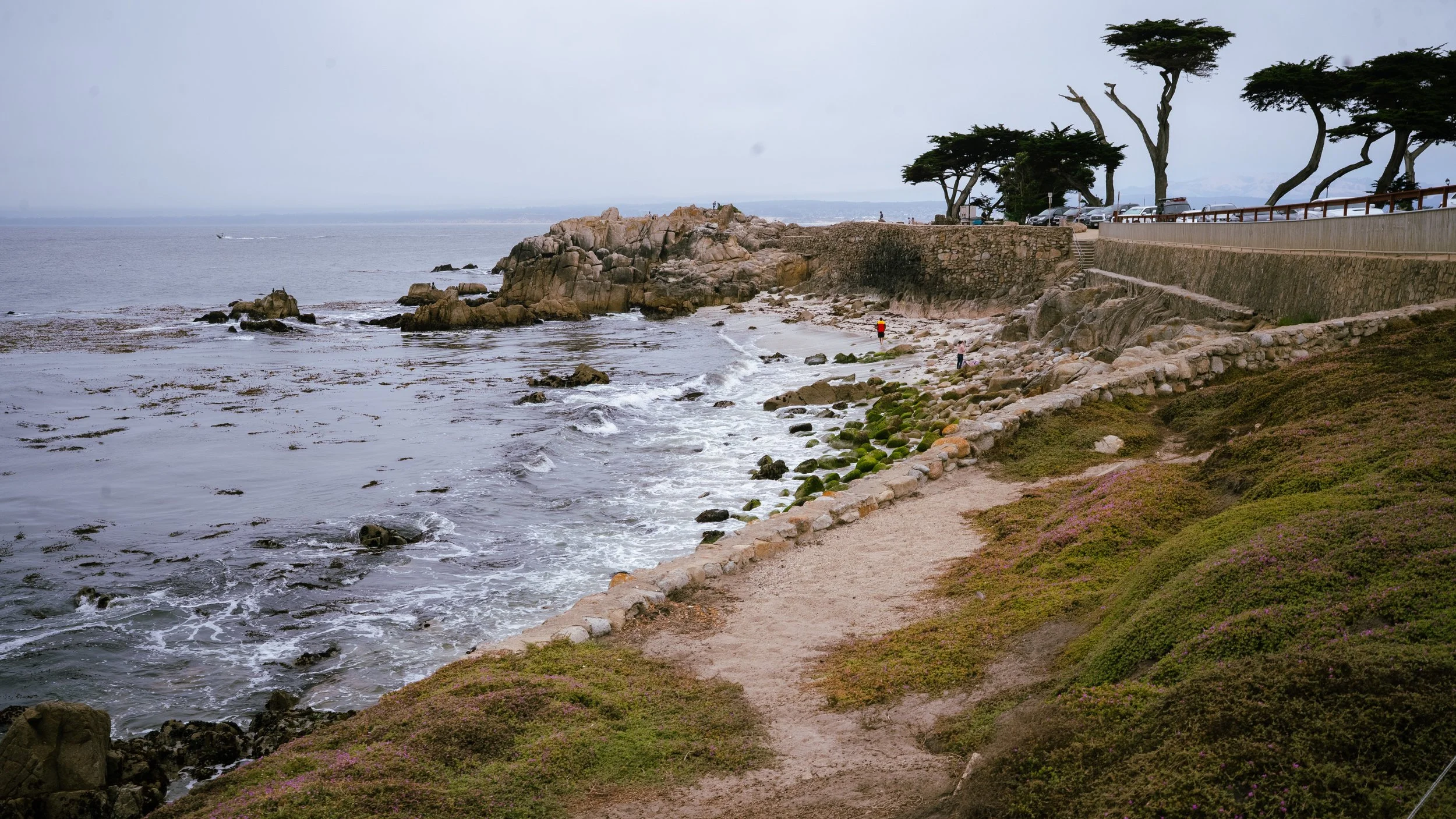 Monterey Beach-05.jpg