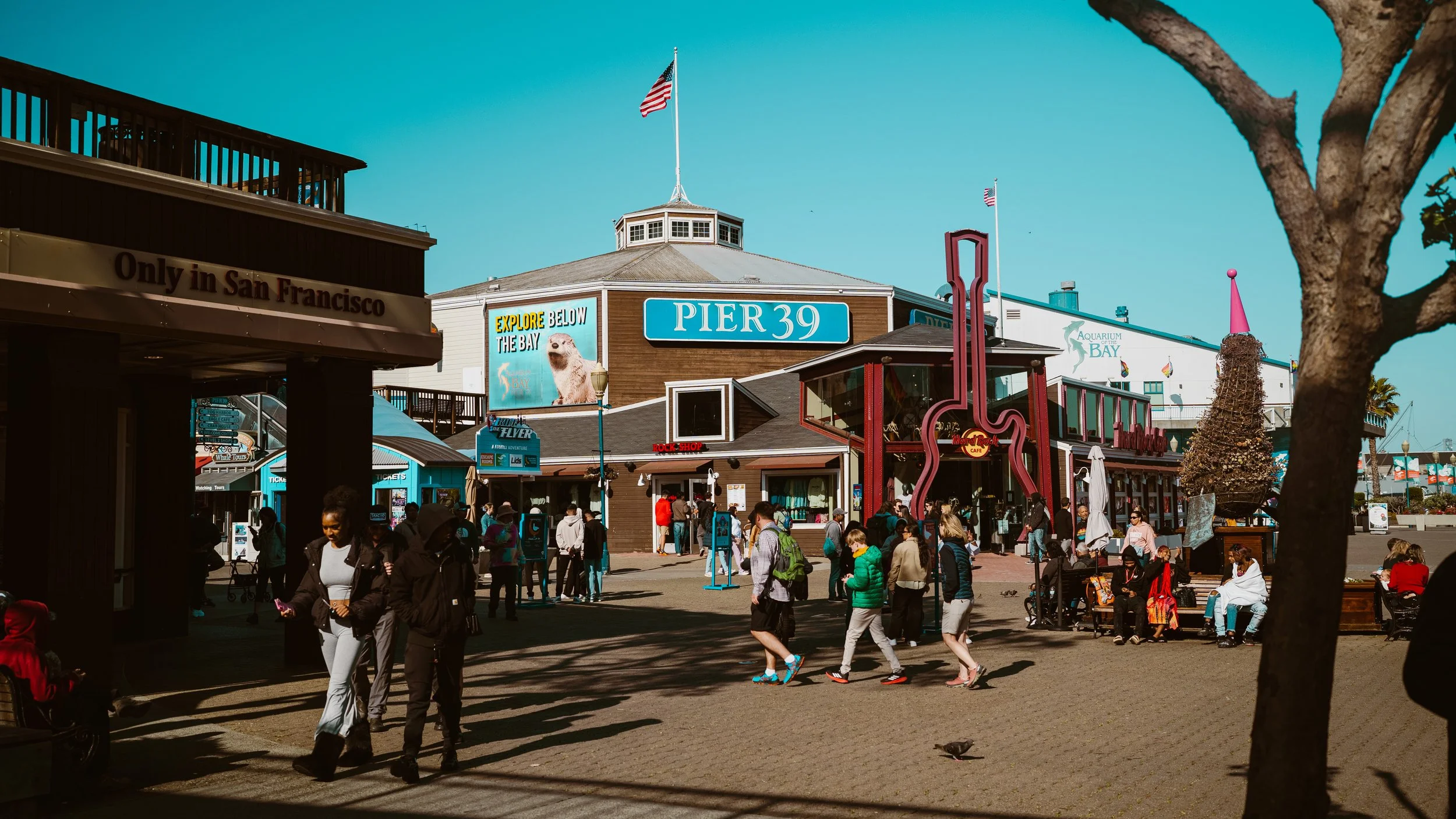 San Francisco Pier 39