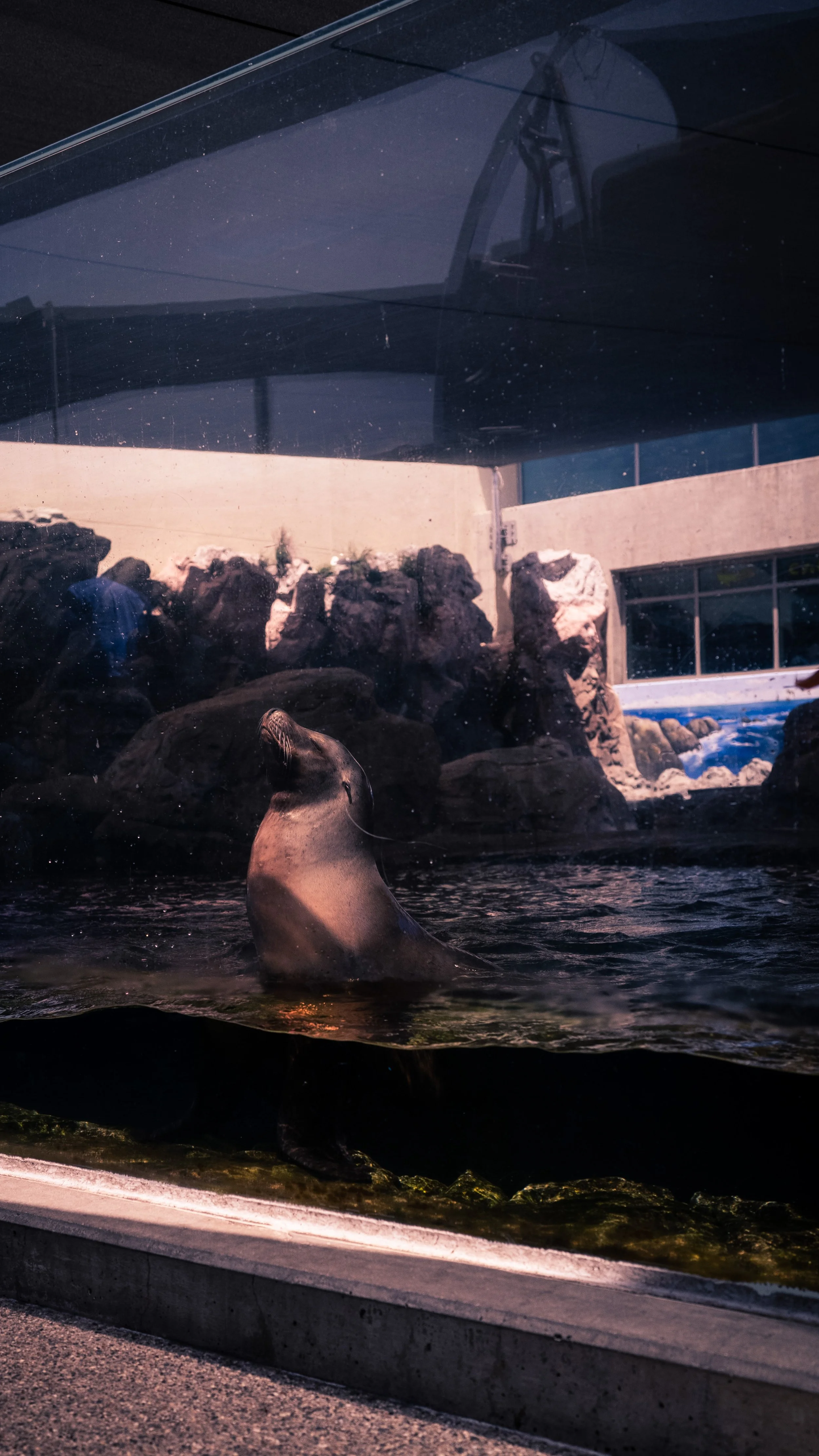 AQUARIUM OF THE PACIFIC