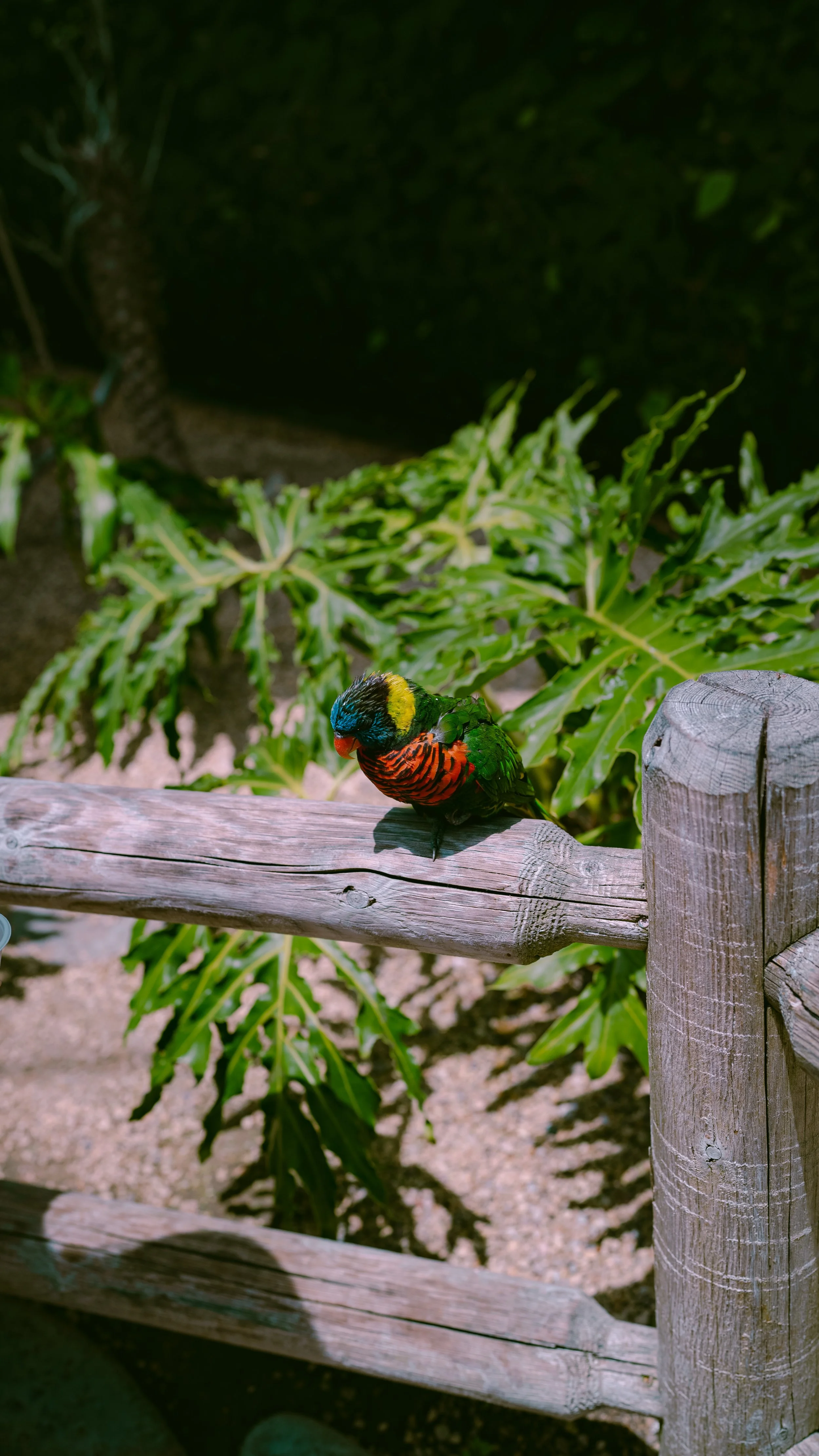 AQUARIUM OF THE PACIFIC