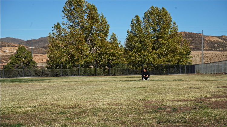 NATURE+(4).png