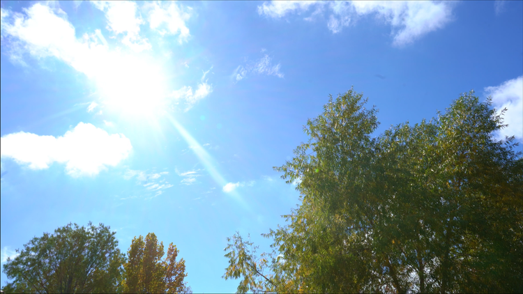 NATURE+(2).png