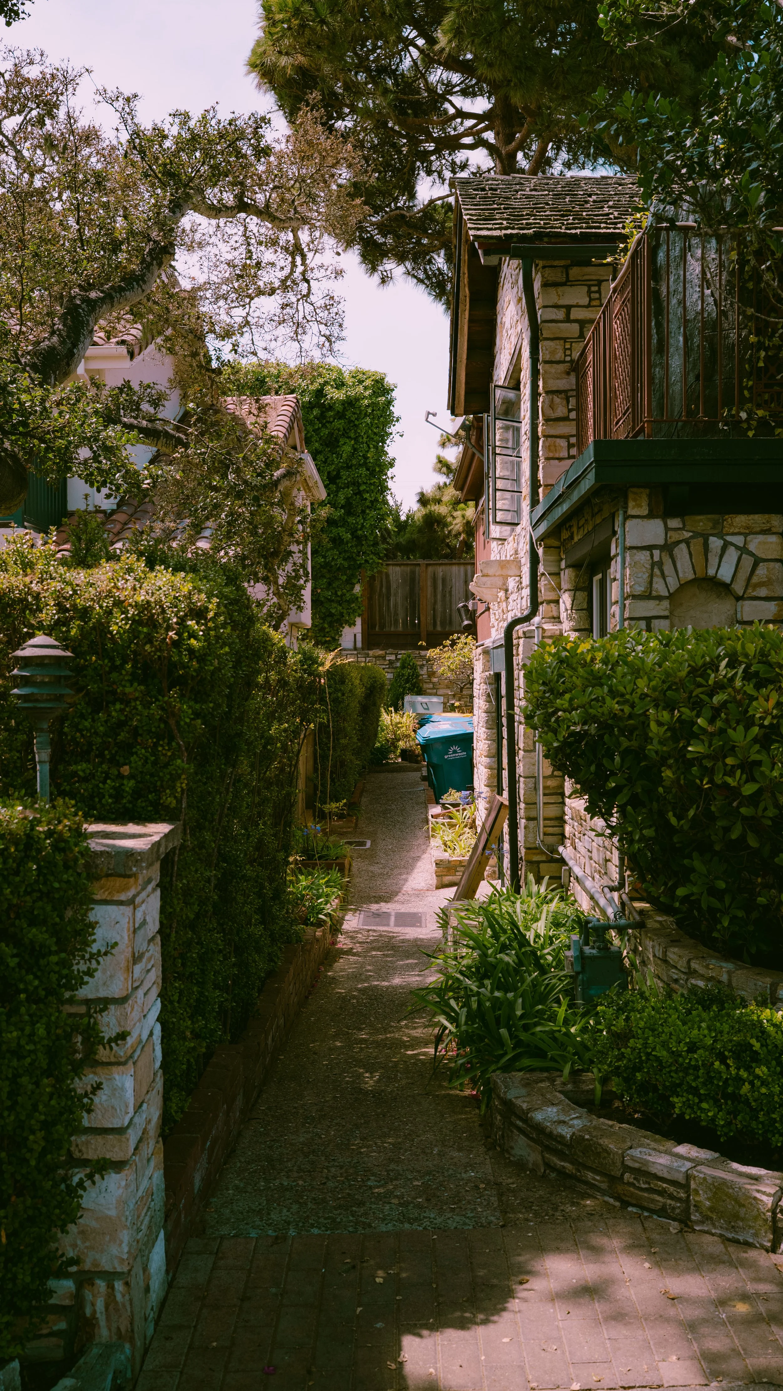 Carmel-04.jpg