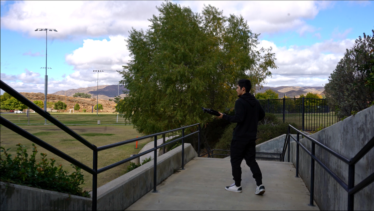 NATURE+(5).png
