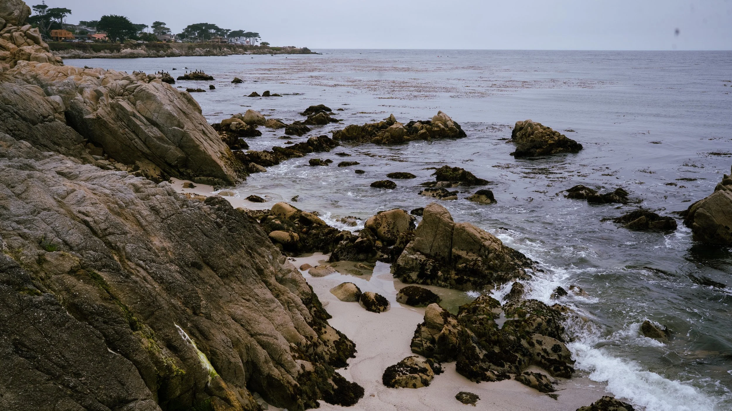 Monterey Beach-04.jpg