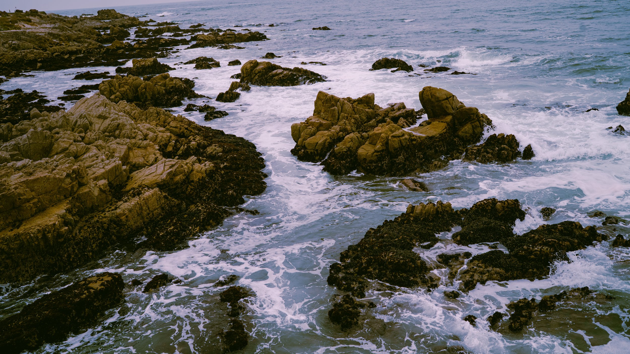 Monterey Beach-02.jpg