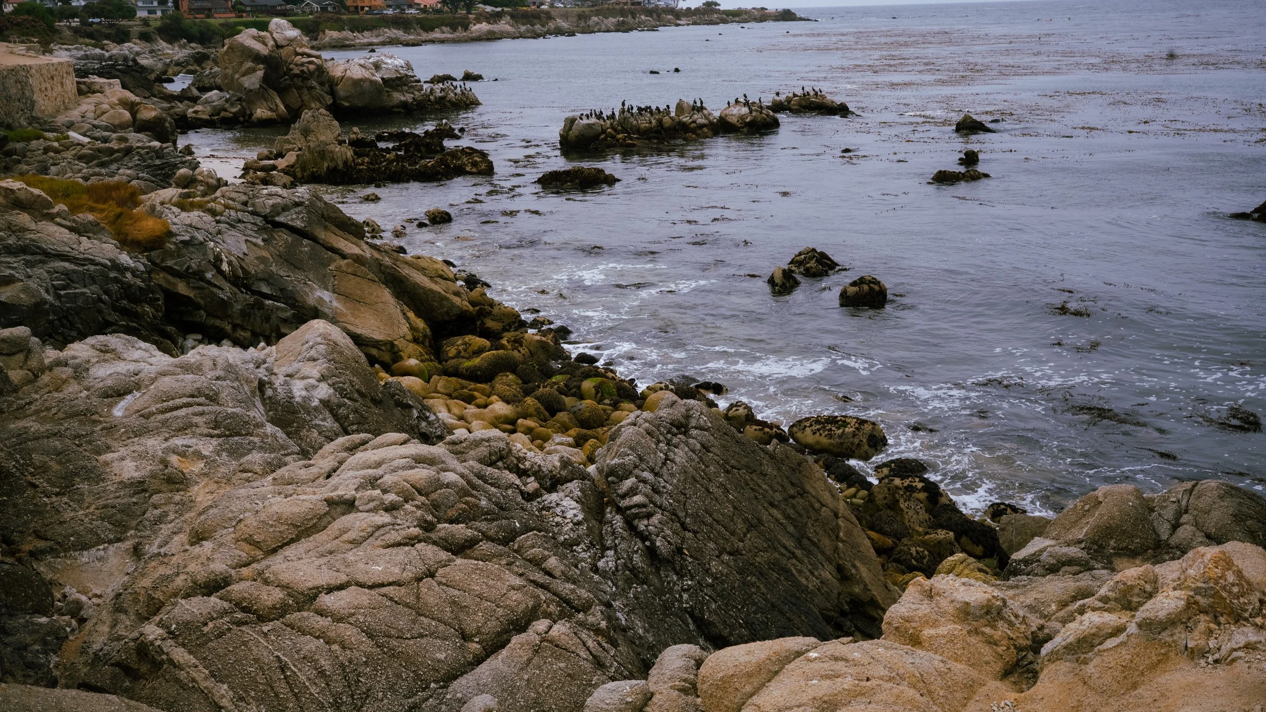 Monterey Beach-06.jpg