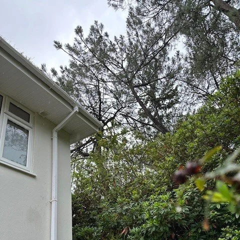 rear corner of the property fixed following squirrel damage