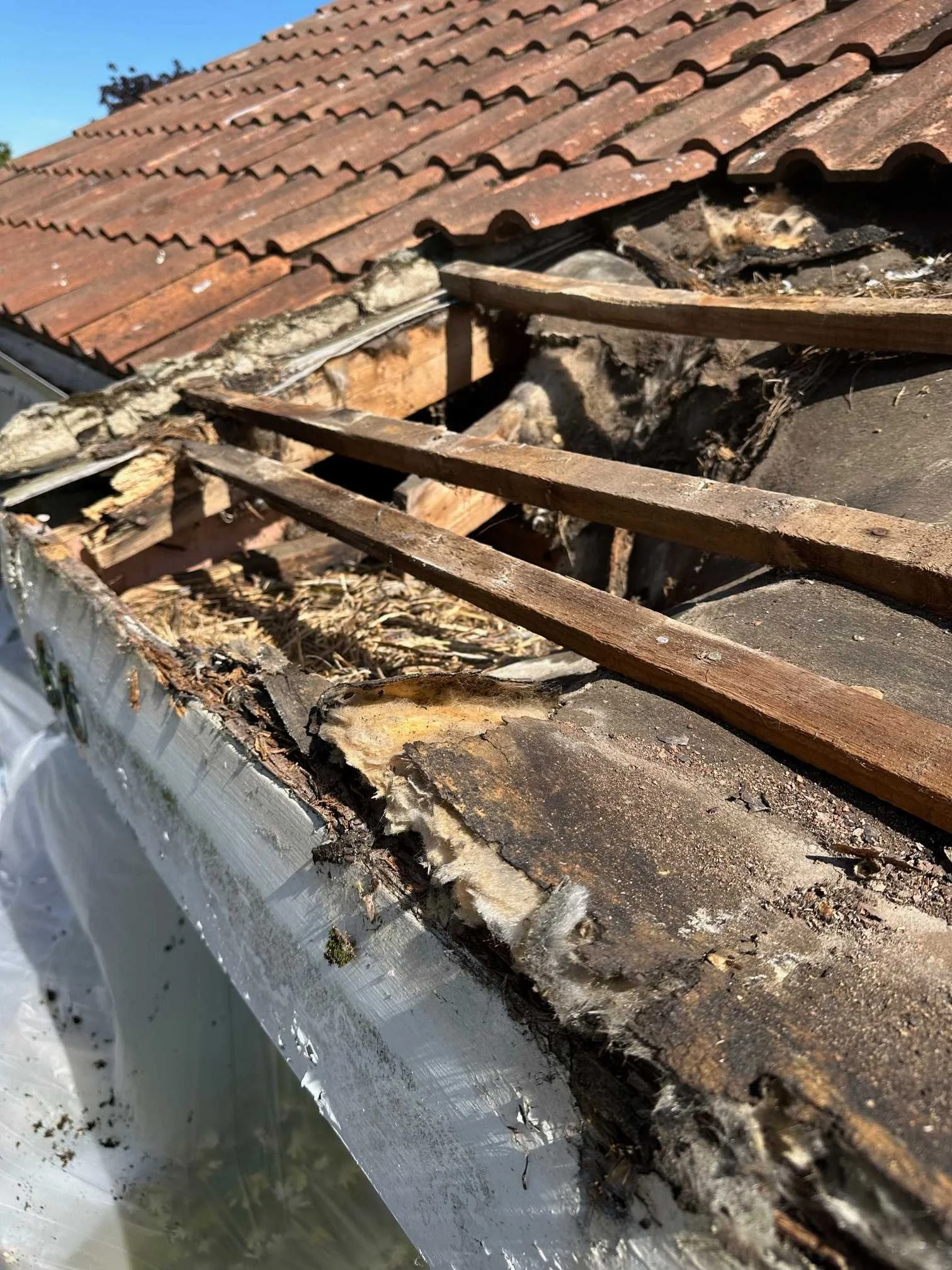 rotten timbers in porch.jpg