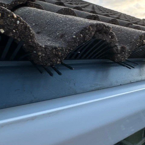 close up image of bird guard fitted under the tiles