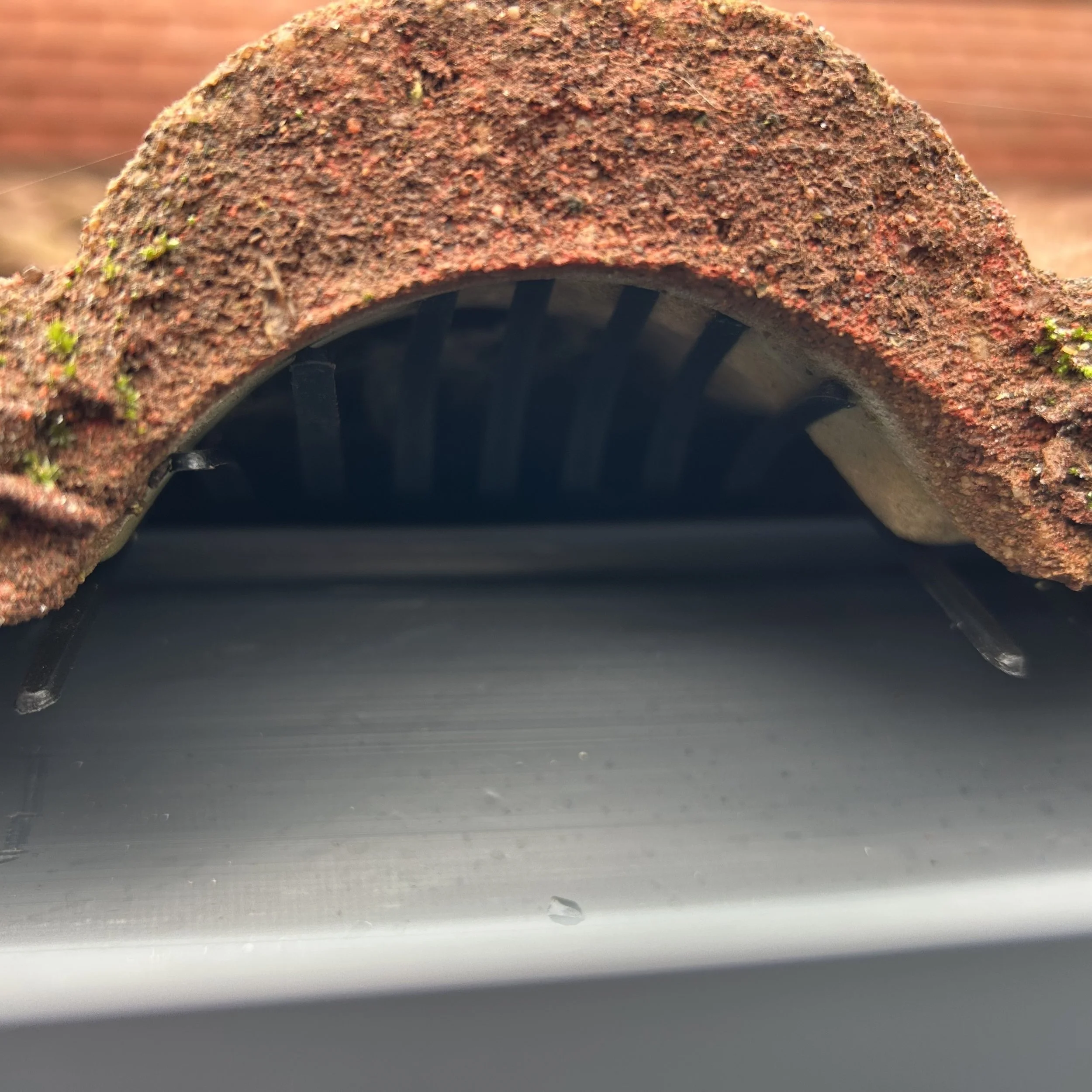 image shows bird guard system fitted under tiles